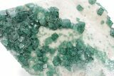 Green Fluorescent Cubic Fluorite Crystals - Madagascar #221159-2